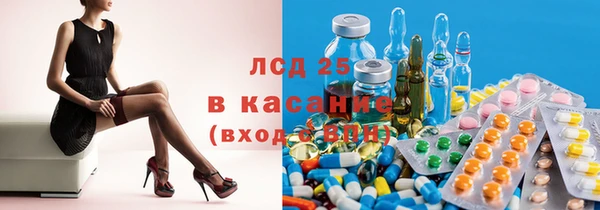 прущие грибы Беломорск