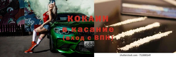 прущие грибы Беломорск