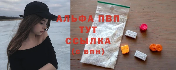 прущие грибы Беломорск