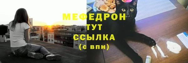 прущие грибы Беломорск