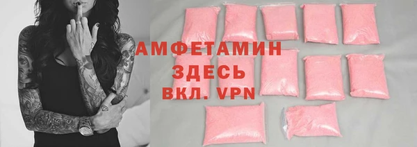 прущие грибы Беломорск