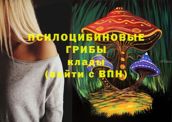 мдпв Белокуриха