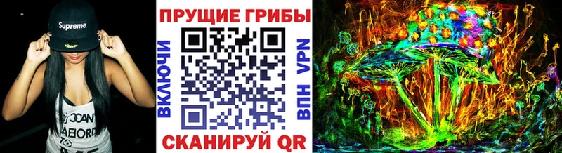 kraken рабочий сайт  Горно-Алтайск  Псилоцибиновые грибы Psilocybe 